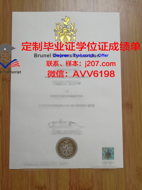 布尔诺理工大学硕士毕业证书样本(布鲁内尔大学毕业证)