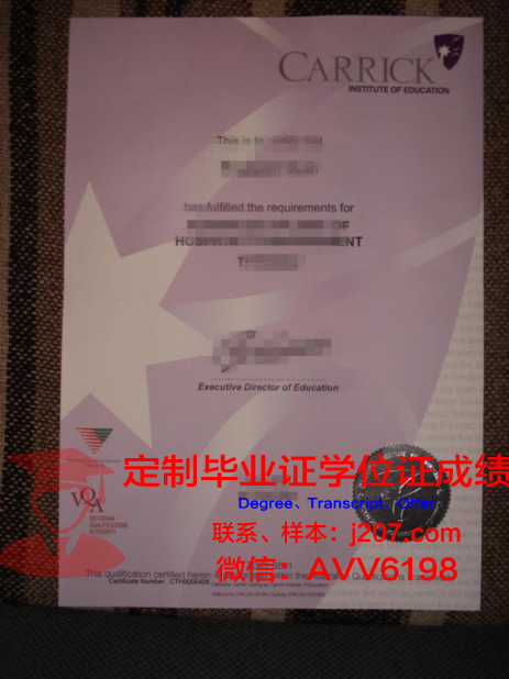 布伦瑞克工业大学diploma证书(布伦瑞克工业大学土木工程)