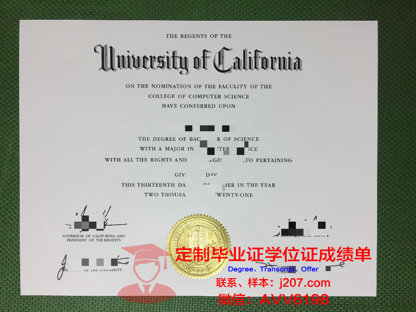 布基农国立大学本科毕业证