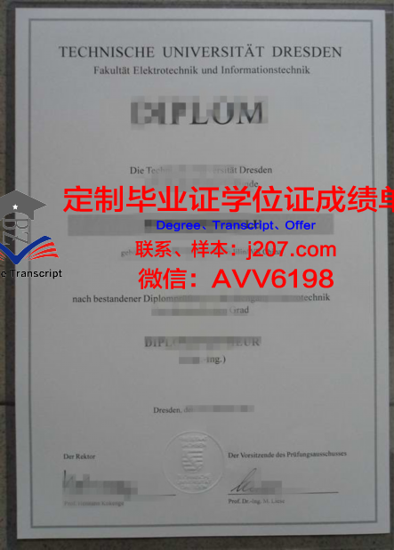 布尔诺工业大学diploma证书(布尔诺理工大学排名)