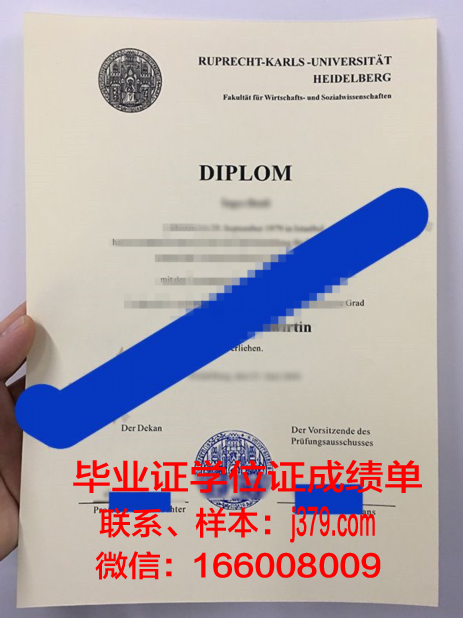 海德堡大学学位成绩单定制：探寻学术诚信的边界