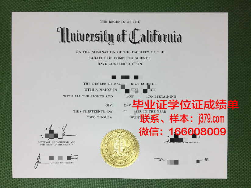 布尔诺科技大学毕业证Diploma文凭