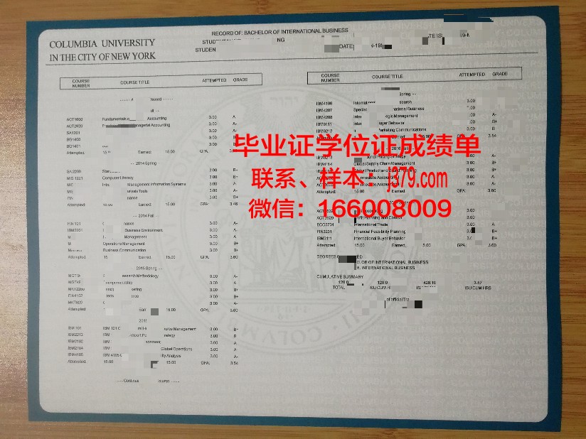 洛美大学成绩单：一份承载非洲希望的学业成绩证明
