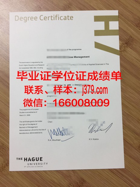 海牙大学毕业证书图片：见证国际法律人才的成长轨迹