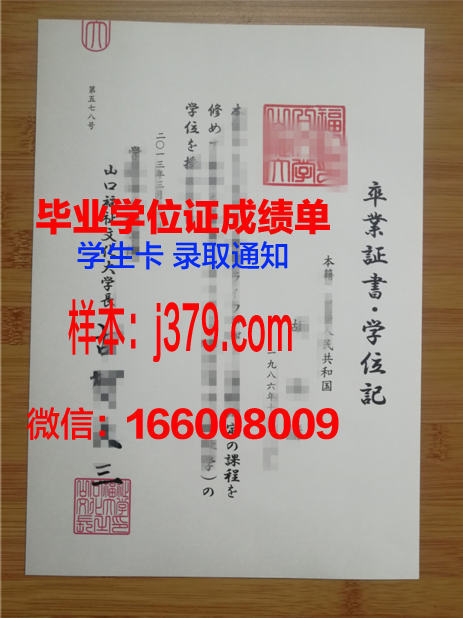 山口大学毕业证高清图(山口大学宿舍)