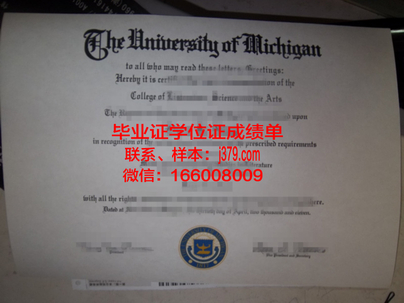 尔穆博士毕业证：承载荣誉与梦想的证书