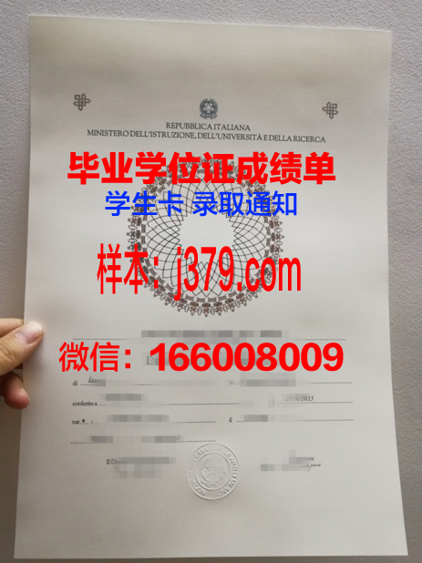洛林大学南锡高等工程科学与技术学院毕业证照片