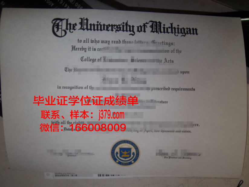 富川大学毕业证是什么模样(富川大学毕业证是什么模样图片)