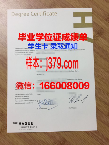 海峡大学毕业证原件(海牙大学毕业证)