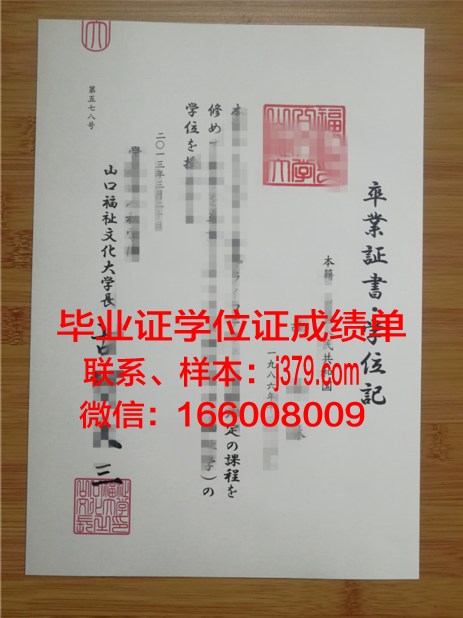 山口大学毕业证补办