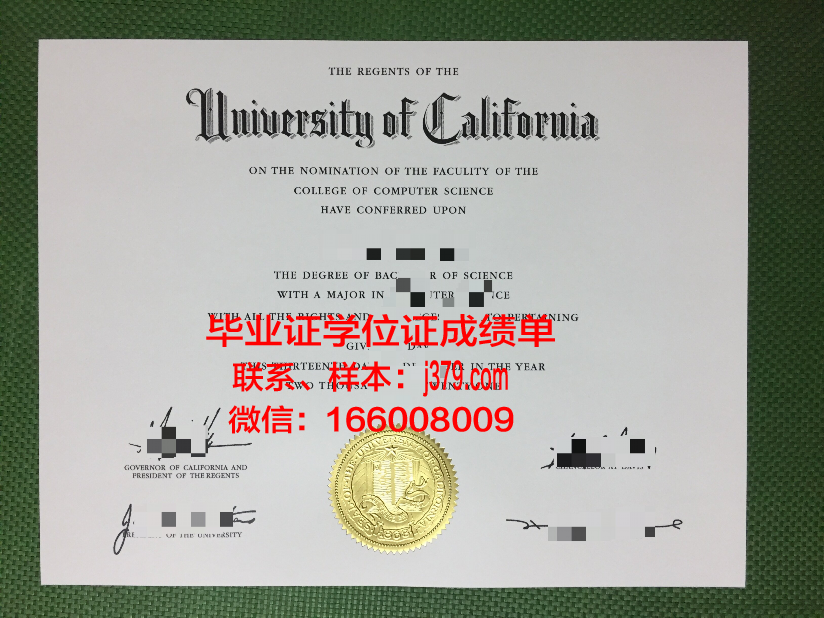 浦项科技大学毕业证图片