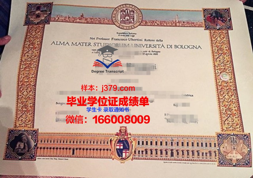 尼亚大毕业证：一张承载梦想与奋斗的证书