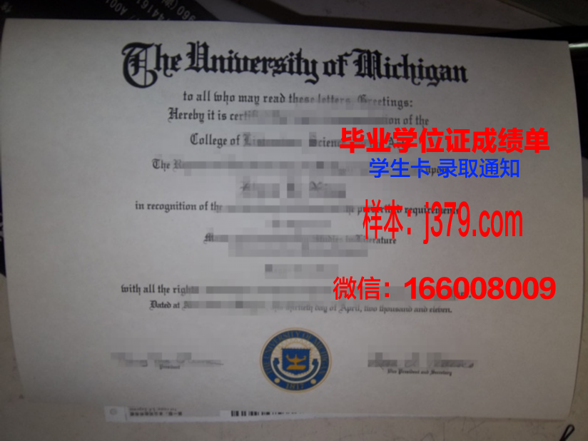 尼什大学毕业证：一张通往未来的通行证