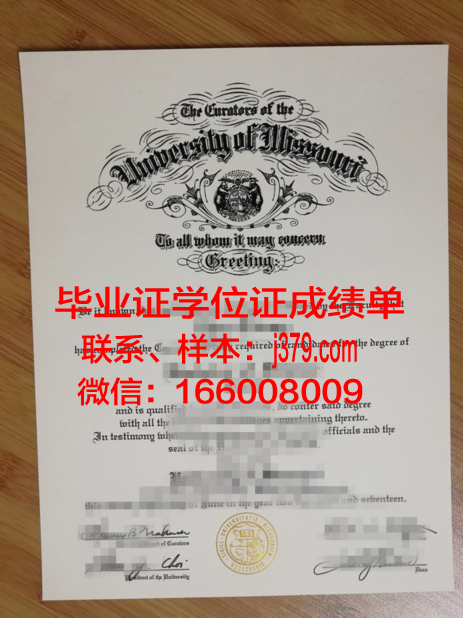 密苏里科技大学毕业证壳子(密苏里科技大学相当于国内)