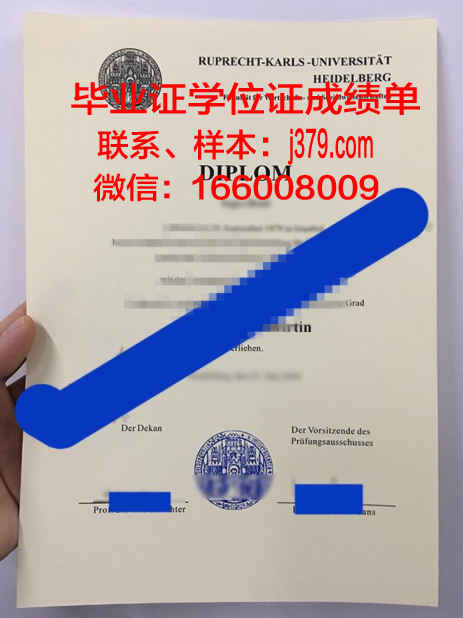 海德堡大学毕业证(海德堡大学本科入学要求)