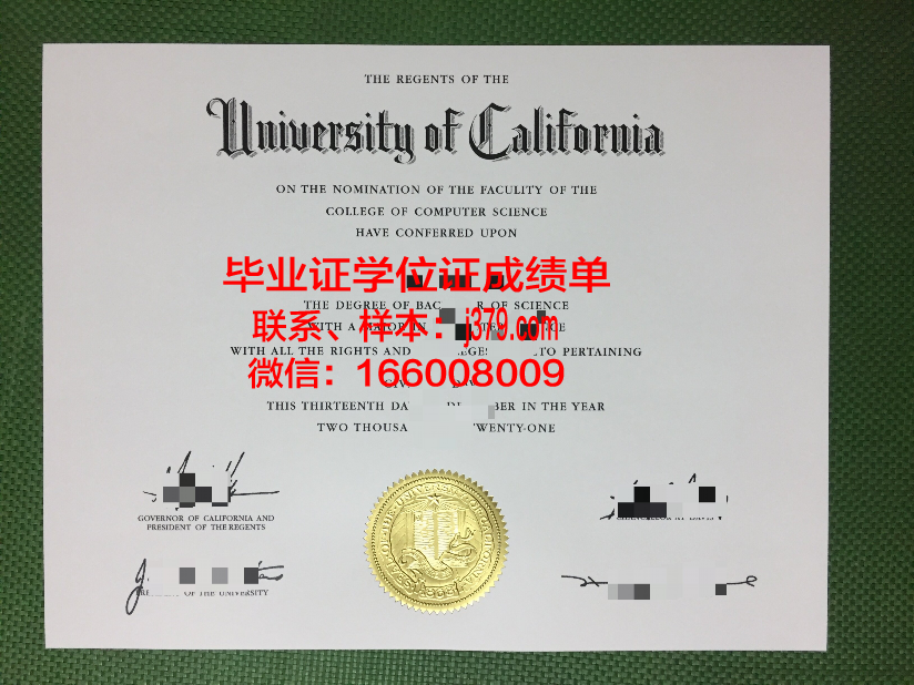 尼赫鲁大学毕业证diploma