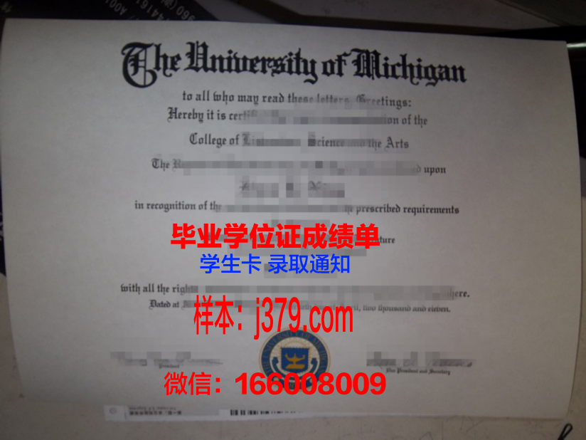 尼皮辛大学博士毕业证：一张通往知识巅峰的通行证