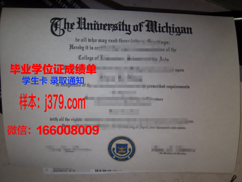 布尔诺科技大学毕业证Diploma文凭