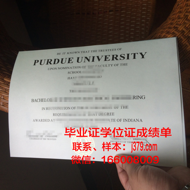 泽佩林大学毕业文凭