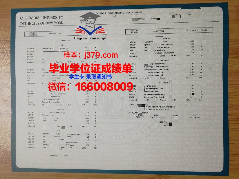 布尔大成绩单：一部揭示成长与奋斗的励志之作