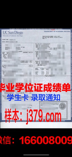 尼什大学学位成绩单定制：诚信与责任的重要性
