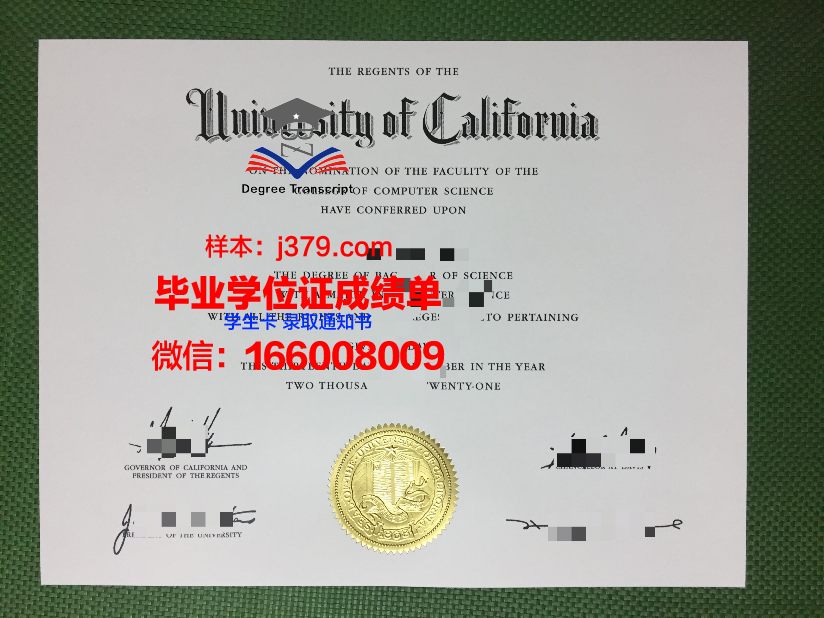 小尼奥硕士毕业证：承载知识与梦想的荣耀证书