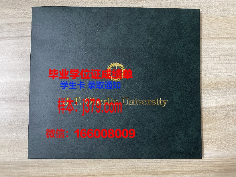 尼斯大学毕业证书图片高清(尼斯大学商学院)