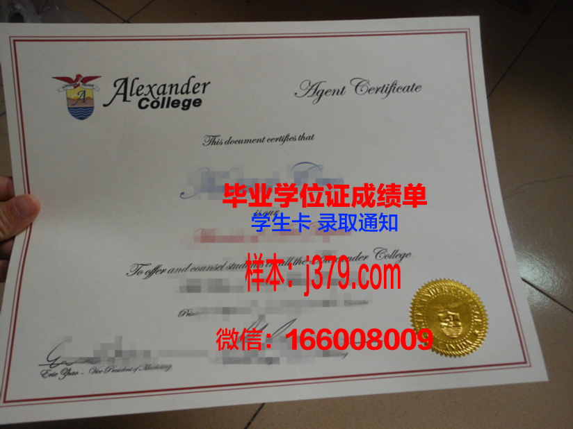山大成绩单：一份亮眼的成绩，一份自豪的见证