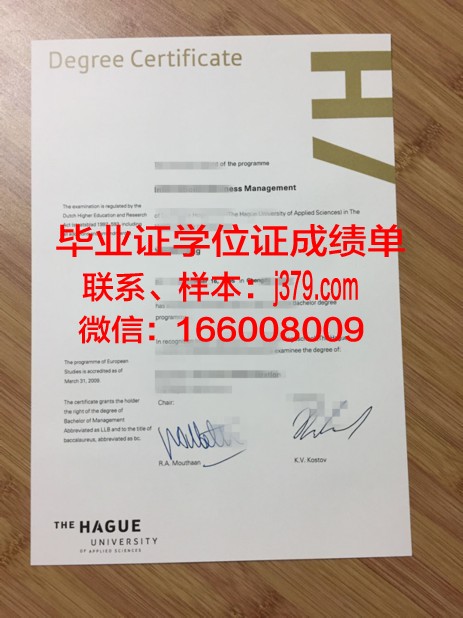 海牙应用科学大学本科毕业证：国际认可的学术成就象征