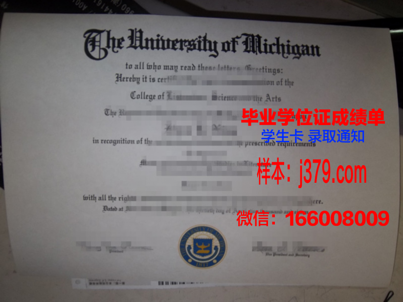 对外经济与贸易大学毕业证(对外经济贸易大学毕业证书)