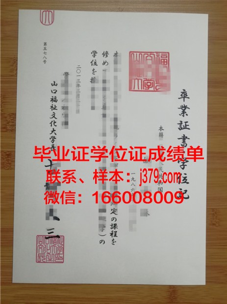 山口大学毕业证查询系统(山口大学毕业证查询系统网址)