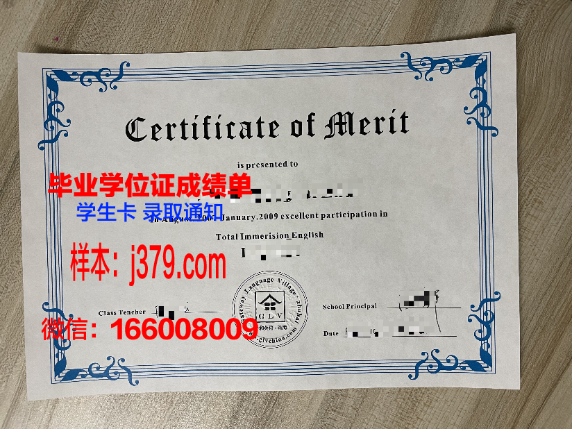 山南道大学diploma证书