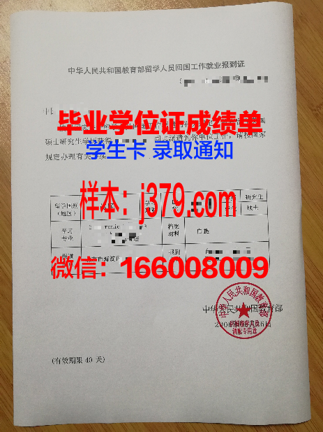 海外回国创业需要毕业证吗(海外毕业回国怎么求职)