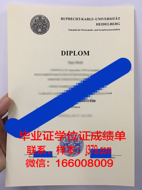 海德堡大学博士毕业证(海德堡大学读博)