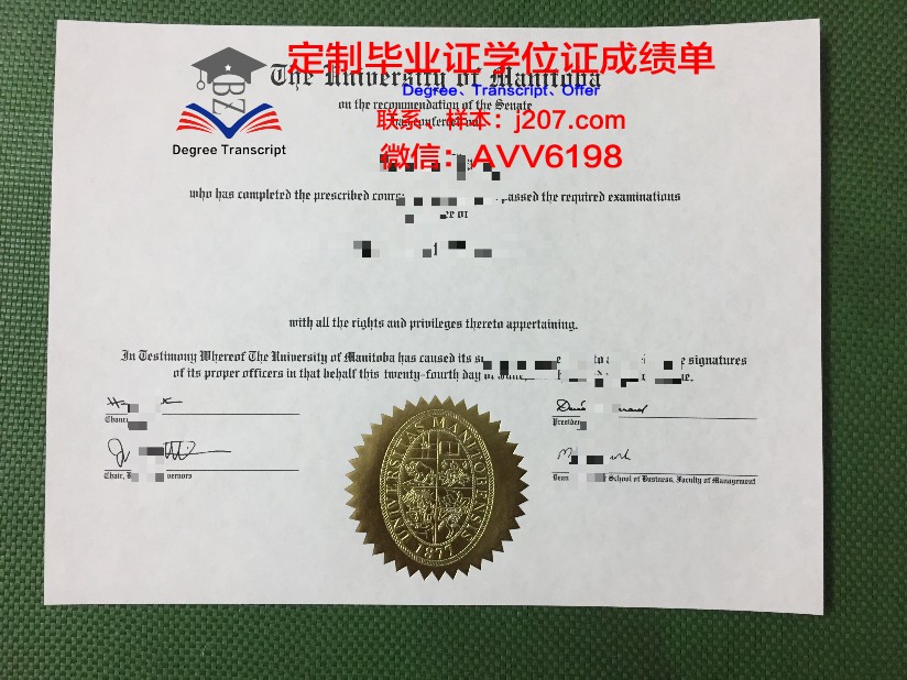 印度曼尼帕大学毕业证成绩单