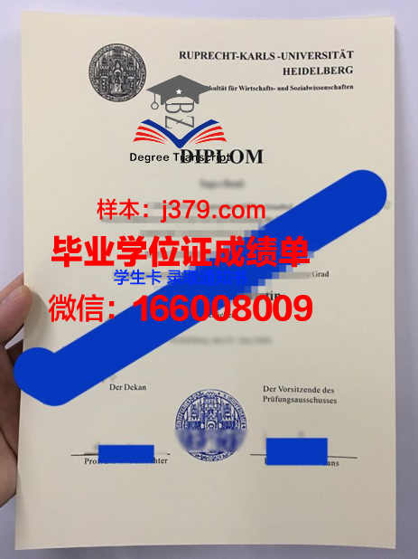 海德堡大学毕业证书图片(海德堡大学难毕业吗)