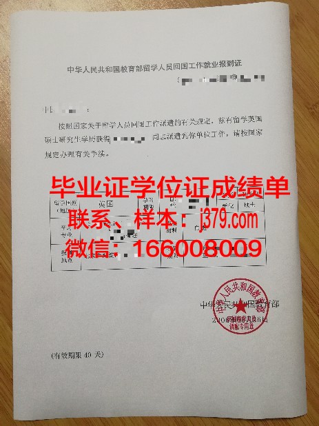海外回国创业需要毕业证吗(海外毕业回国怎么求职)