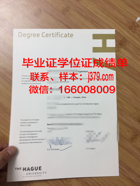 海牙大学毕业证书图片：见证国际法律人才的成长轨迹