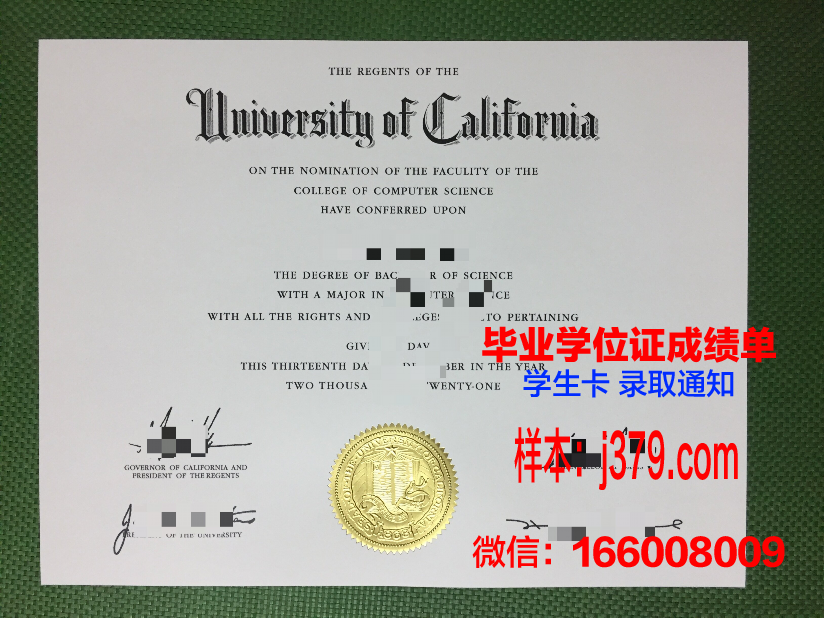 山形大学博士毕业证(博士毕业证丢了怎么办)
