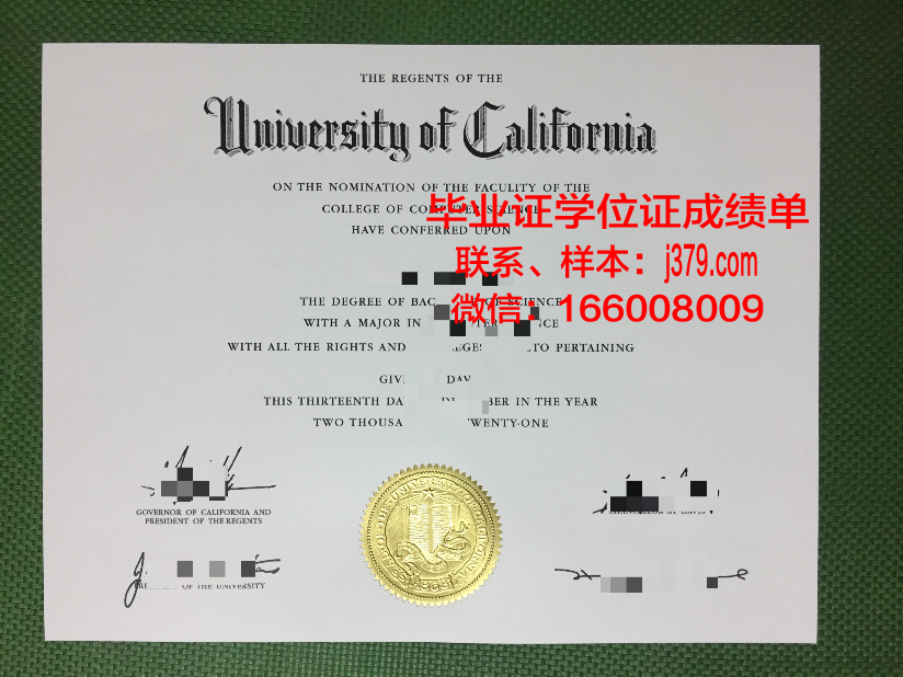 浦和大学短期大学部毕业证原件(浦江学院毕业证)