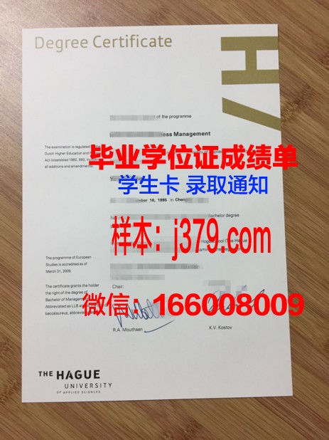 海牙应用科学大学几年可以毕业证(海牙应用技术大学)