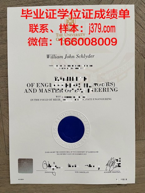 尼斯大学综合理工学院硕士毕业证(尼斯大学在职研究生)