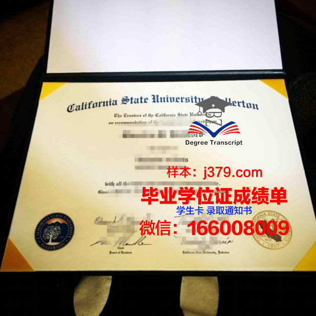 富尔顿蒙哥马利社区学院成绩单(纽约富尔顿蒙哥马利学院)