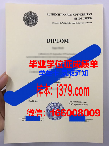 海德堡大学毕业证图片