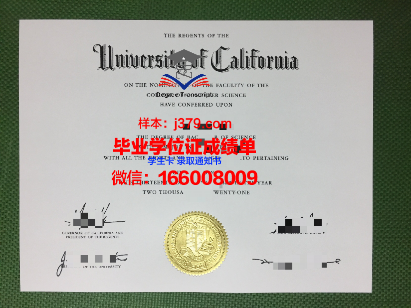 尼斯大学毕业证diploma