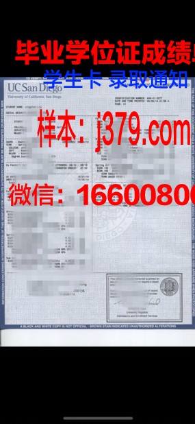 尼尔森航空学院证书成绩单(尼尔森理工学院世界排名)