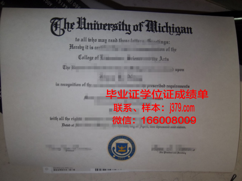 浜松医科大学硕士毕业证(医学硕士毕业证图片)