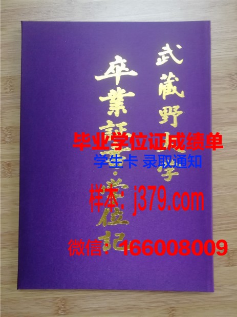 尼亚加拉大学毕业证壳子(尼亚加拉学院在哪个城市)