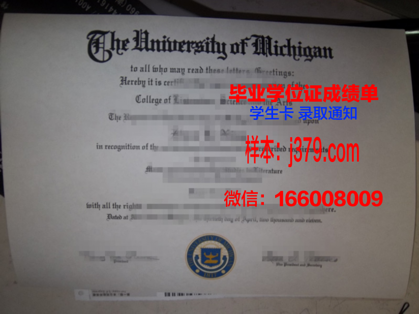 尼皮辛大学毕业证图片
