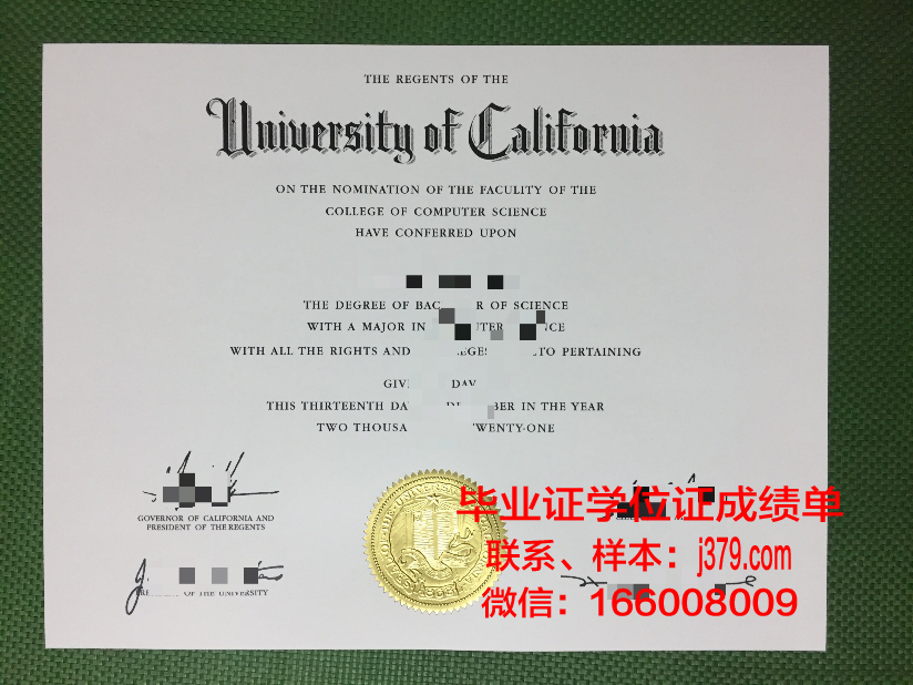 尼扎姆学院博士毕业证：承载荣誉与梦想的证书